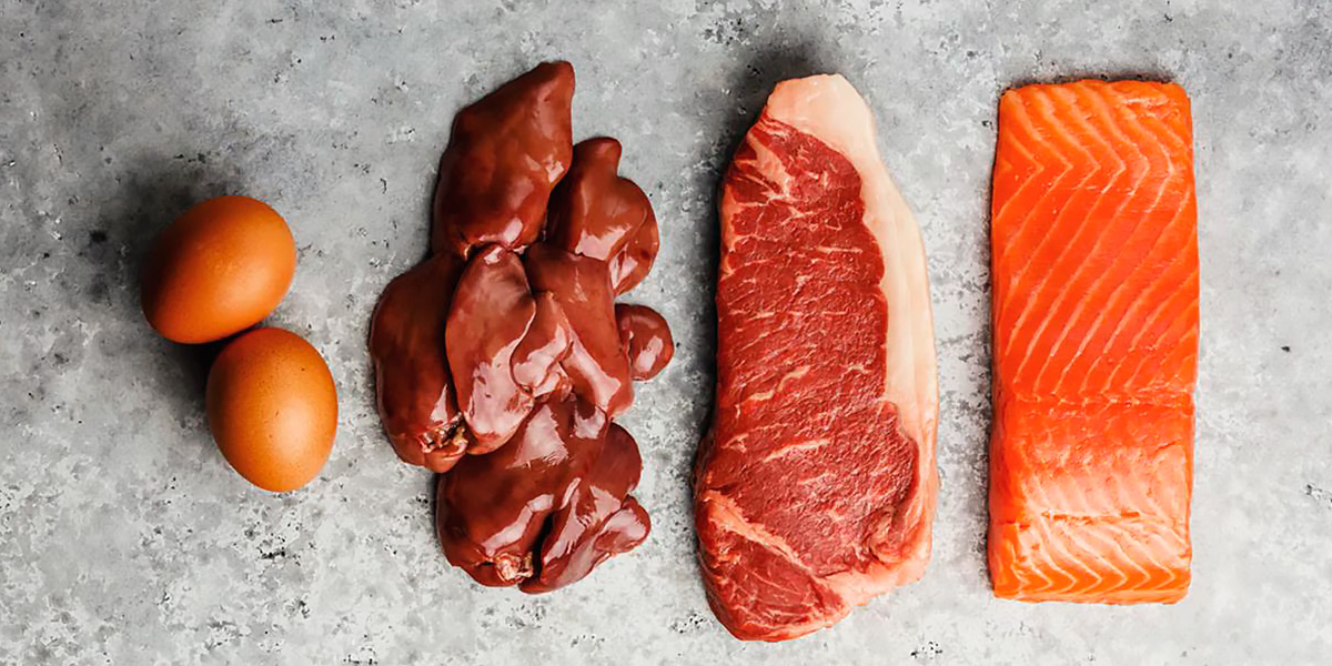 Alimentos dieta carnivora