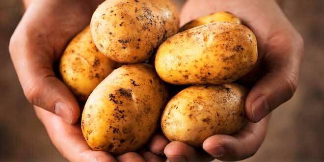 Amido Resistente, O que é, Benefícios, Ajuda a Emagrecer? Quais os Alimentos que o contêm