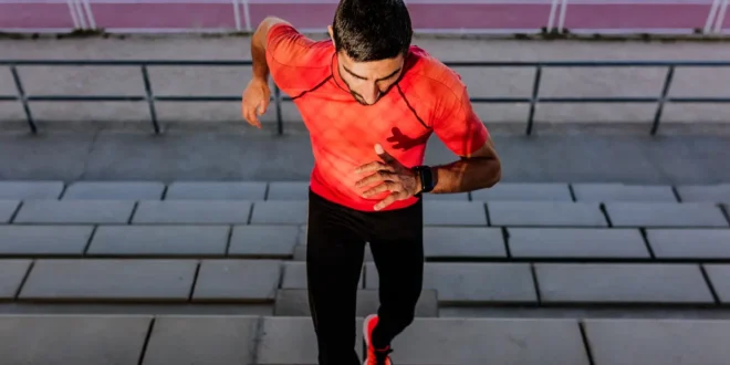 Melhores Suplementos para Corredores e os seus Benefícios Melhores Suplementos para Corredores e os seus Benefícios
