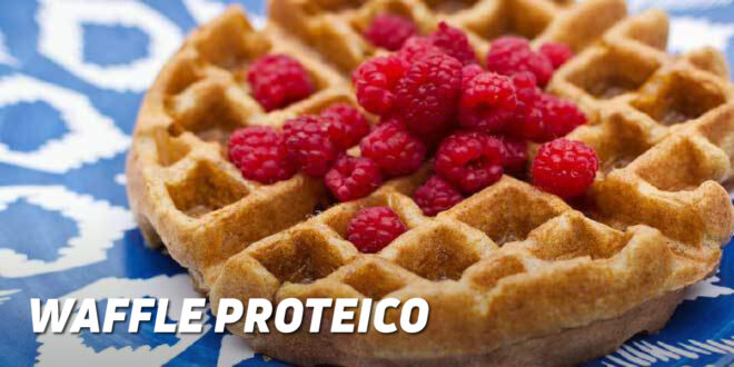 Waffle Proteico Waffle Proteico
