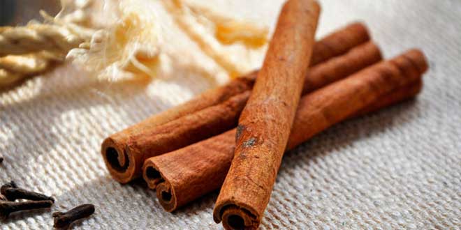 Canela antioxidante