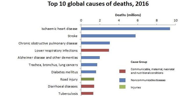Causas de morte Causas de morte