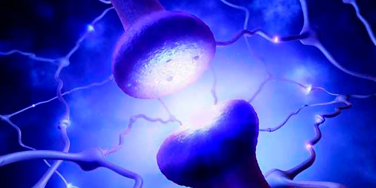 Colina e Inositol Colina e Inositol