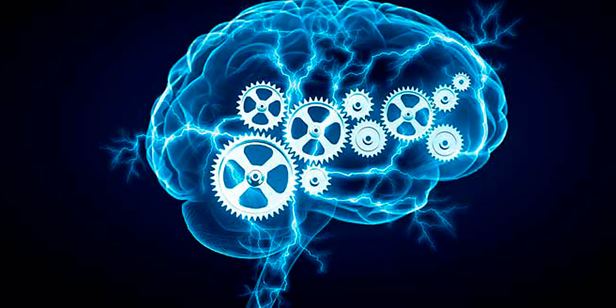 Tirosina Saúde do Cérebro Tirosina Saúde do Cérebro