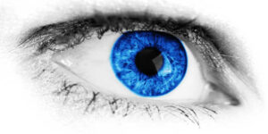 Zeaxantina - Protege a saúde dos teus olhos