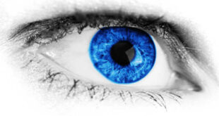 Zeaxantina - Protege a saúde dos teus olhos