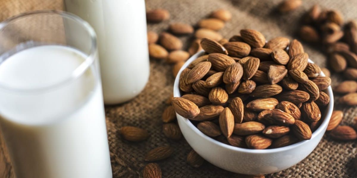 Alternativas aos lácteos Alternativas aos lácteos