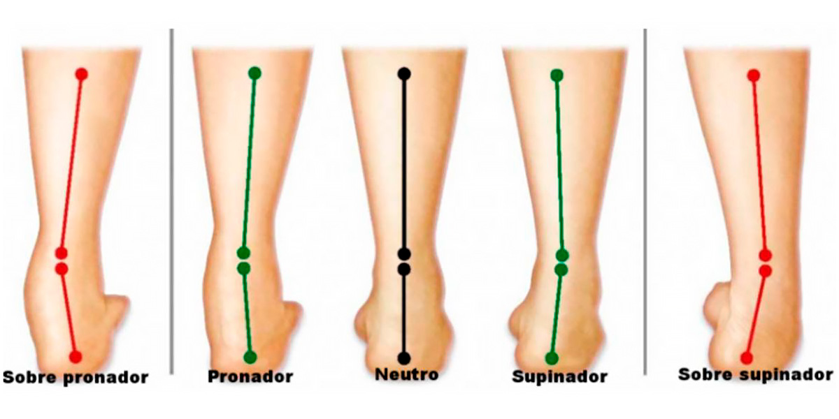 Diferença entre Pronador ou Supinador
