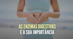 As Enzimas Digestivas e a sua Importância