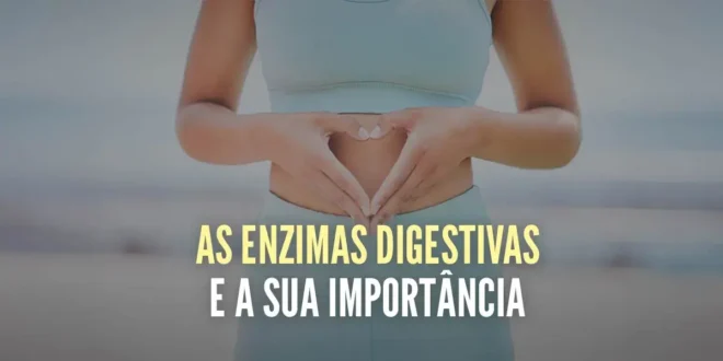 As Enzimas Digestivas e a sua Importância As Enzimas Digestivas e a sua Importância
