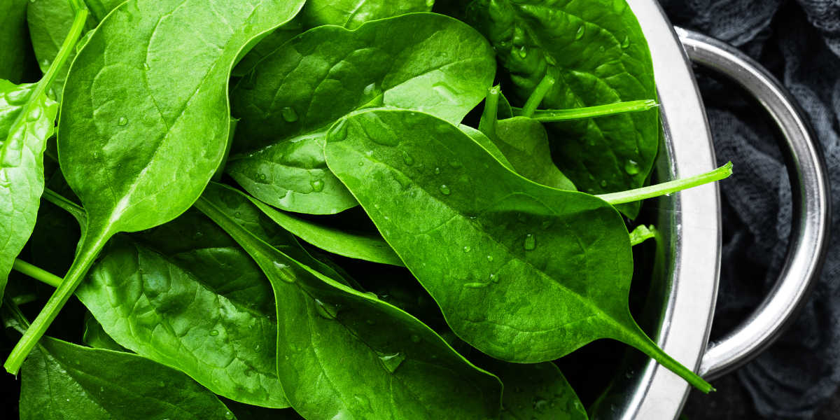 Espinafres ricos em potássio