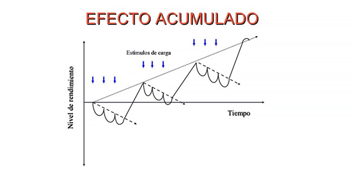 Fenómeno de supercompensação Fenómeno de supercompensação