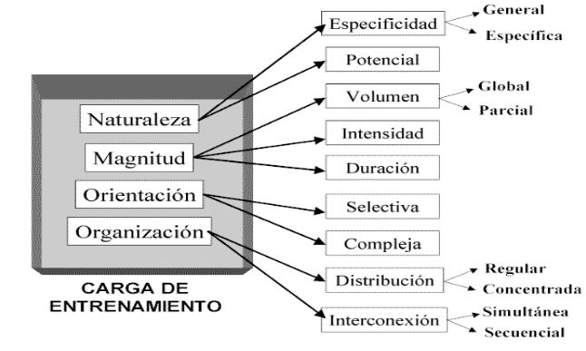 Figura 1 Figura 1 - Treino de Força para Principiantes