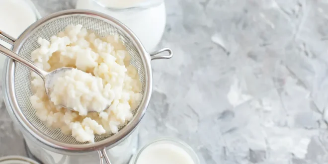 12 benefícios de incluir o kefir na sua alimentação 12 benefícios de incluir o kefir na sua alimentação