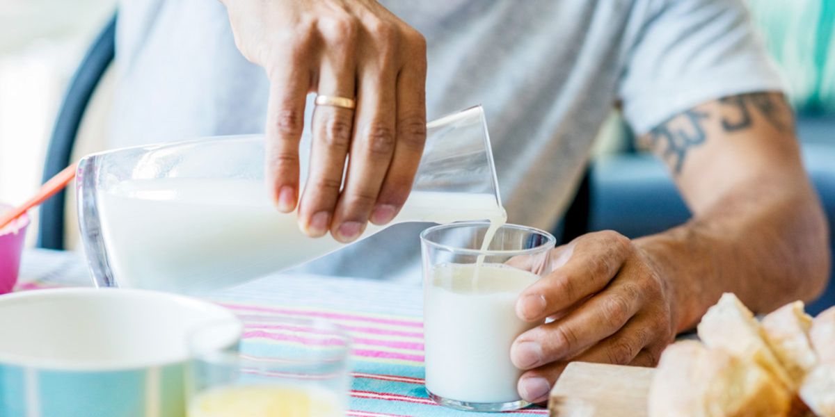 Produtos lácteos pós treino Produtos lácteos pós treino