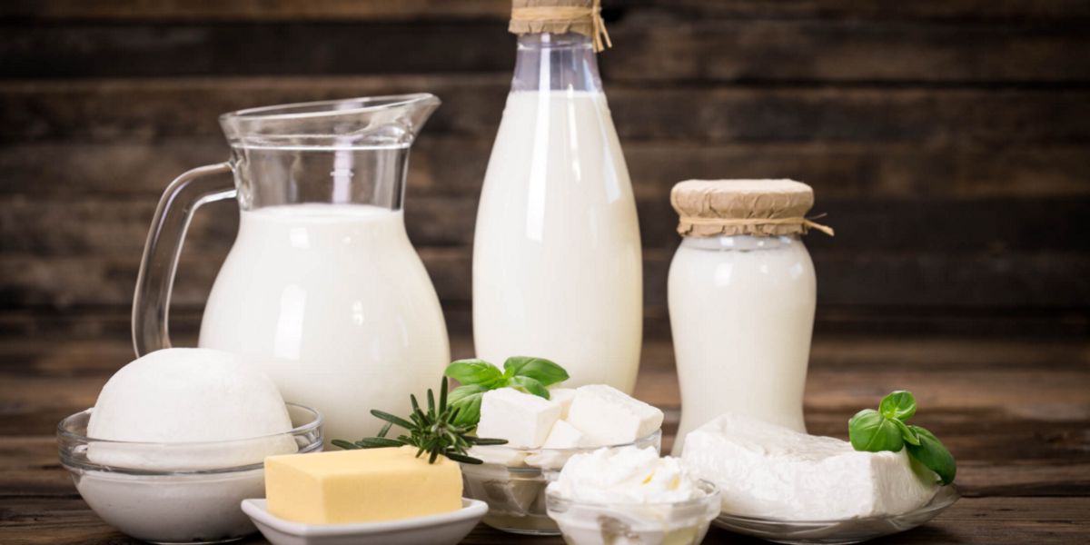 Produtos lácteos Produtos lácteos