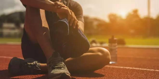 Batidos Recovery caseiros para conseguir a melhor recuperação Pós-Treino Batidos Recovery caseiros para conseguir a melhor recuperação Pós-Treino