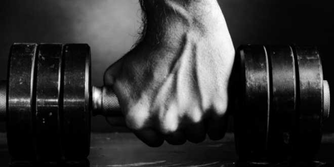 Treino de Força Factores Treino de Força Factores