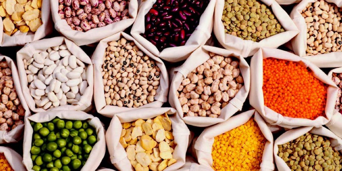 Alternativa à carne