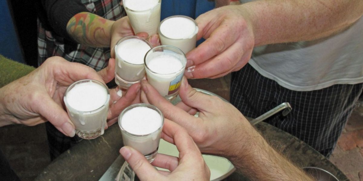 Brindes com Eggnog Brindes com Eggnog