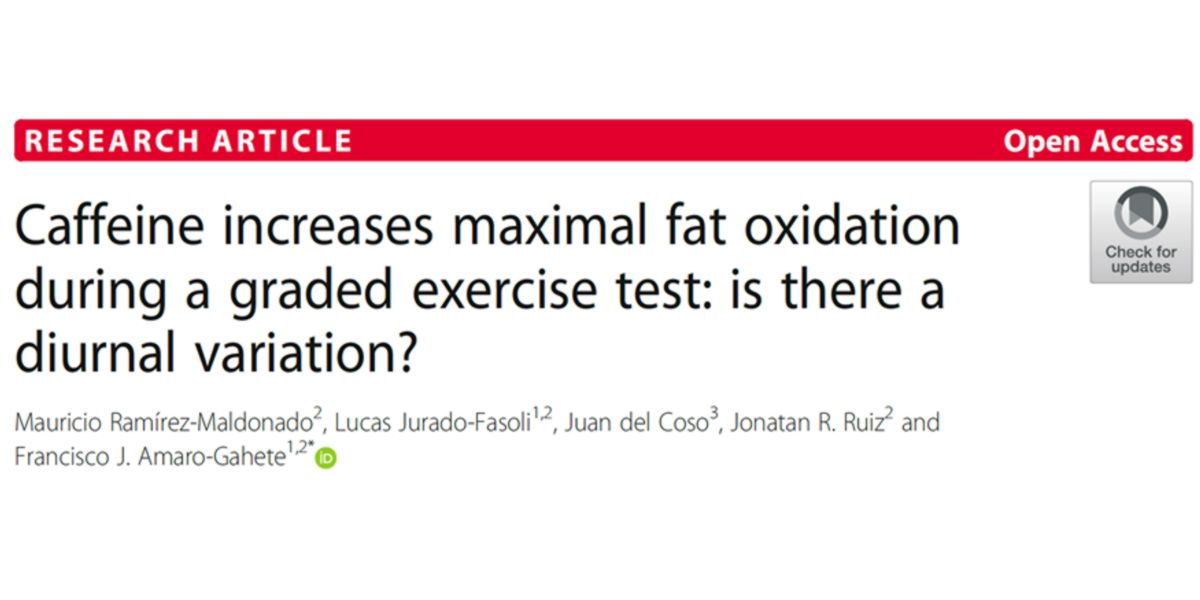 Autores do estudo Autores do estudo