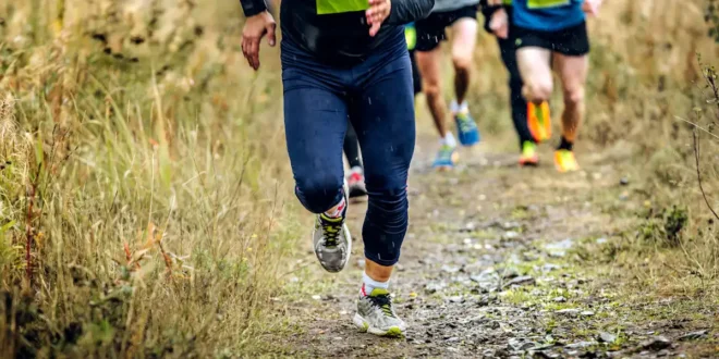 Fartlek: O que é, Tipos e Como Realizar Fartlek: O que é, Tipos e Como Realizar