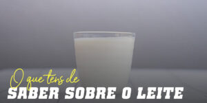 Leite Tudo o que necessitas de saber sobre este alimento