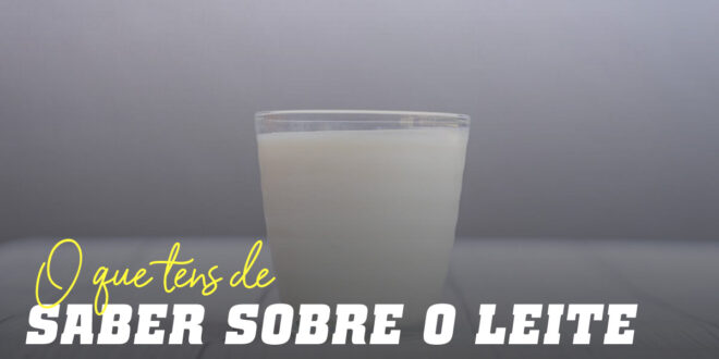 Leite: Tudo o que necessitas de saber sobre este alimento Leite: Tudo o que necessitas de saber sobre este alimento