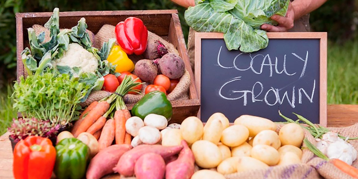 Produtos locais - alimentos eco e bio