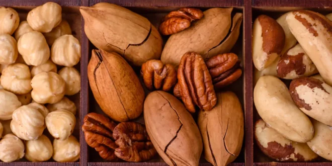 Frutos secos e a sua importância para a dieta fitness Frutos secos e a sua importância para a dieta fitness