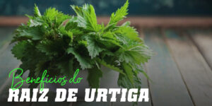 Benefícios do raiz de urtiga