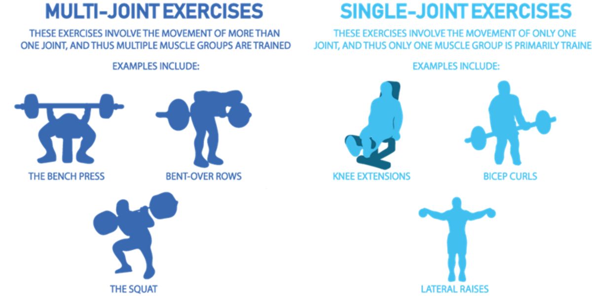 Exercicios multi-articulares e mono-articulares