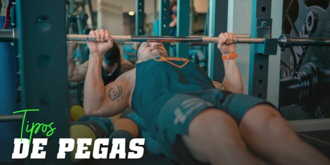 Tipos de Pegas: Características, Vantagens, Exercícios Tipos de Pegas: Características, Vantagens, Exercícios