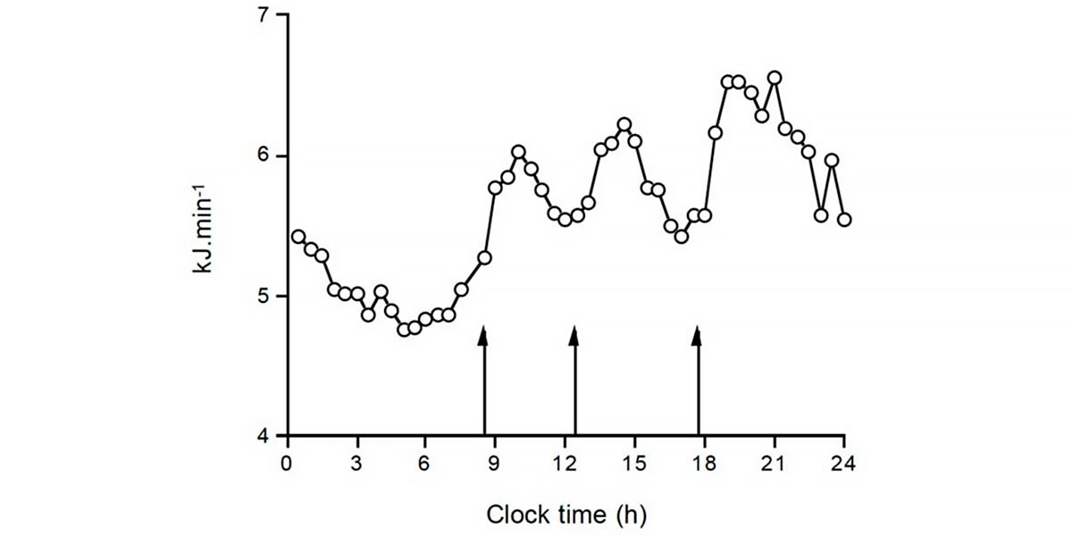 Flutuação do consumo energético