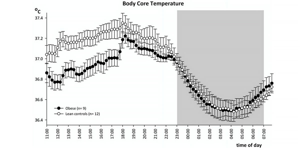 Flutuação da temperatura corporal