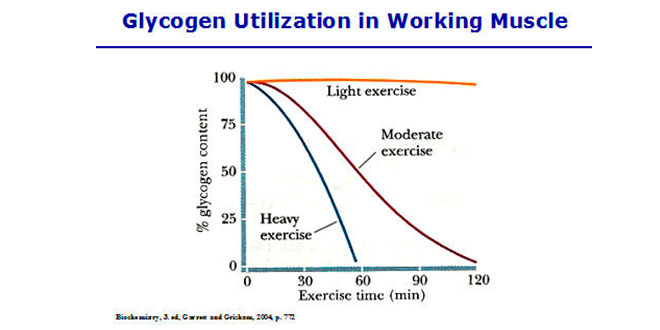Energia proveniente do sistema de fosfagénios