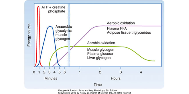 Substrato Energético de Alta Intensidade