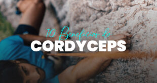 Benefícios do Cordyceps