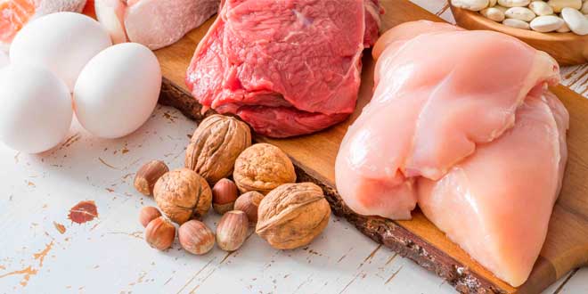 Dieta Elevada em Proteínas não danifica os rins