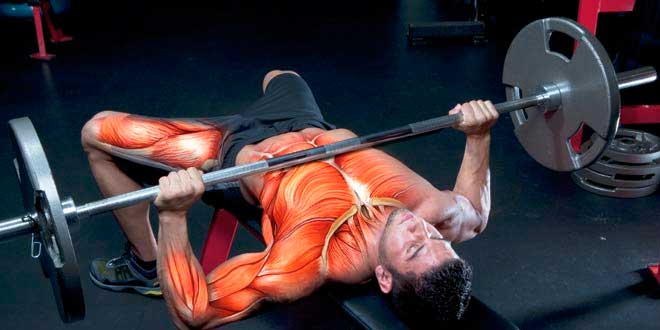 Como Queimar Mais Gordura Durante os Exercícios Força