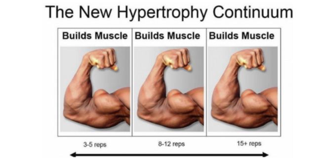 Modelo de Hipertrofia Contínua