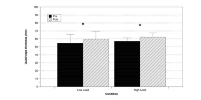 Hipertrofia, secção transversal
