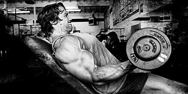 Treino Culturista
