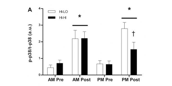 Grafica placebo carboidratos