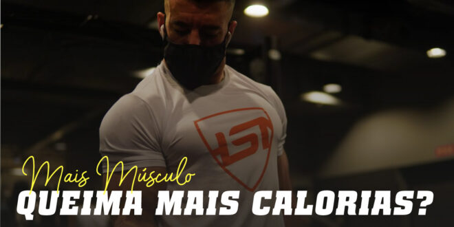 Mais Músculo Queima Mais Calorias? Mais Músculo Queima Mais Calorias?