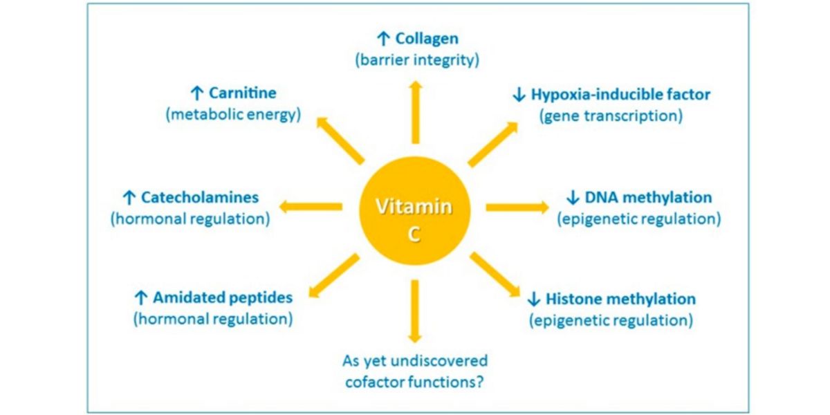 Efeitos da vitamina C