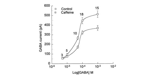 Gráfico gaba e cafeina