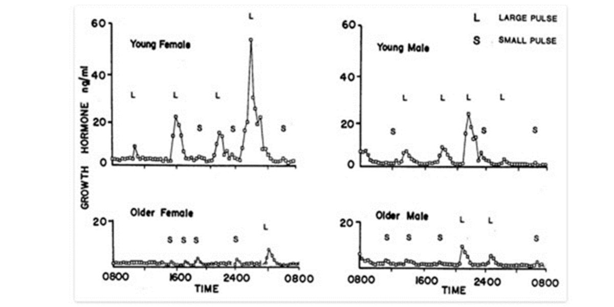 Padrão ciclos 24g hgh