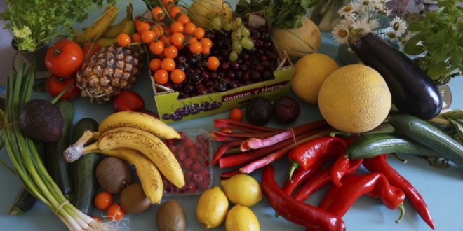 Alimentos saudáveis