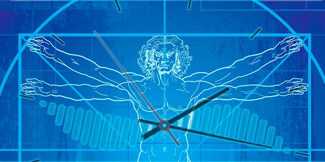 Cronologia, Nutrição e Rendimento